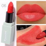 Ladies Fashion Velvet Mousse Lipstick Set